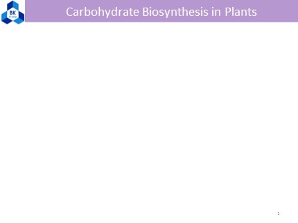 Carbohydrate Biosynthesis in Plants