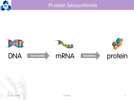 Bài giảng Basic Food Chemistry - Chapter 2+3: Protein biosynthesis