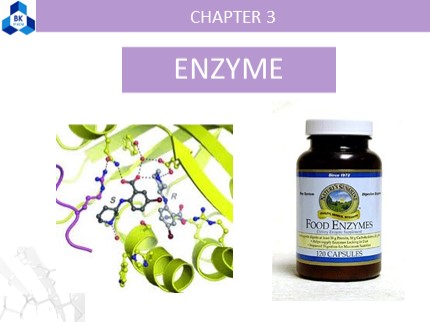 Bài giảng Basic Food Chemistry - Chapter 3: Enzyme