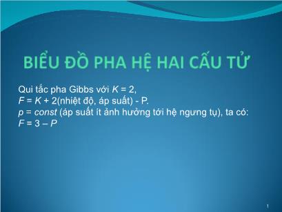 Bài giảng Hóa lý Silicat - Chương 6: Biểu đồ pha hệ hai cấu tử