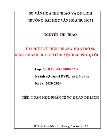 Tiểu luận Học phần Tổng quan du lịch - Tìm hiểu về thực trạng hoạt động kinh doanh du lịch ở huyện đảo Phú Quốc